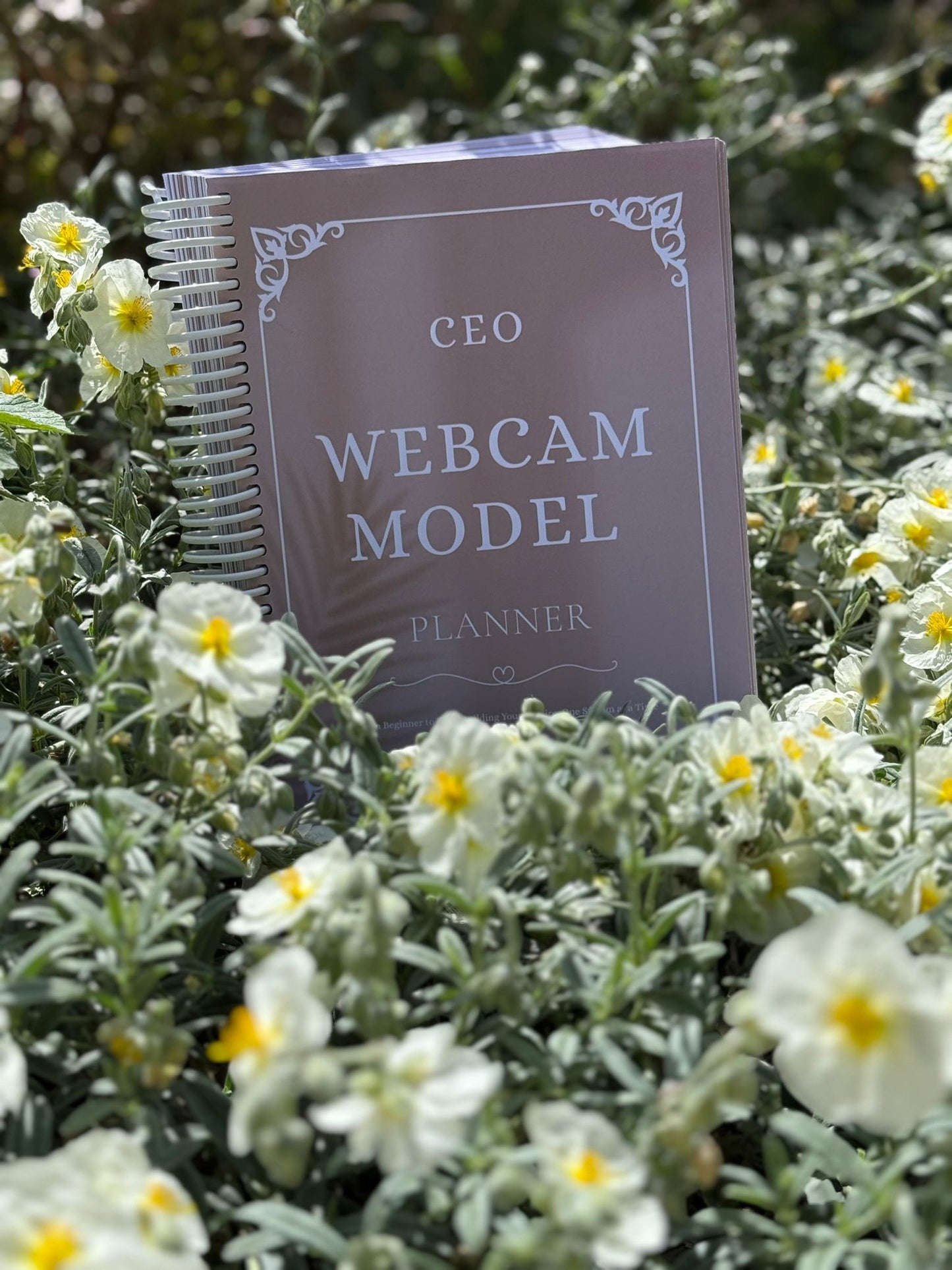 CEO Webcam model and content creator untimate planner!